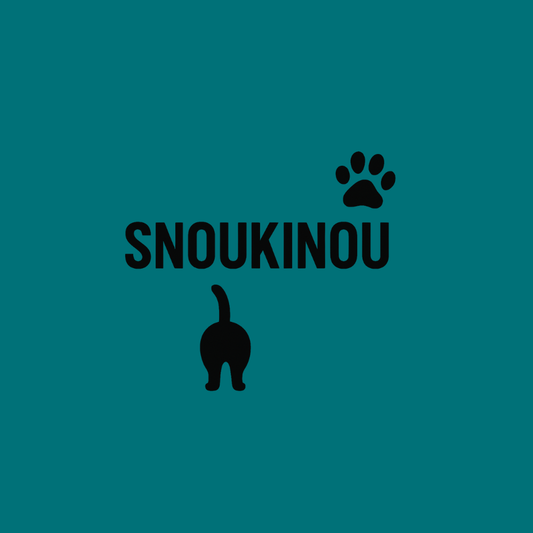 L'histoire de Snoukinou.💗