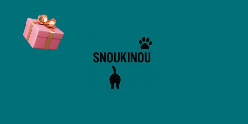 Carte cadeau Snoukinou
