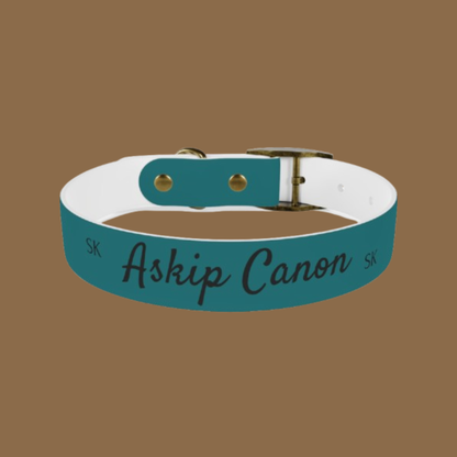 Collier pour  chien -Askip Canon-  Cyan chic Premium Snoukinou