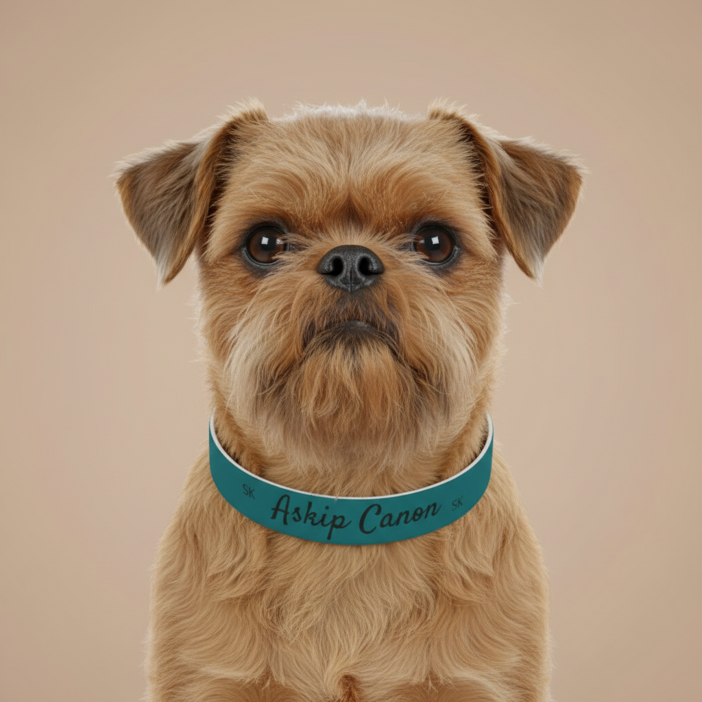 Collier pour  chien -Askip Canon-  Cyan chic Premium Snoukinou
