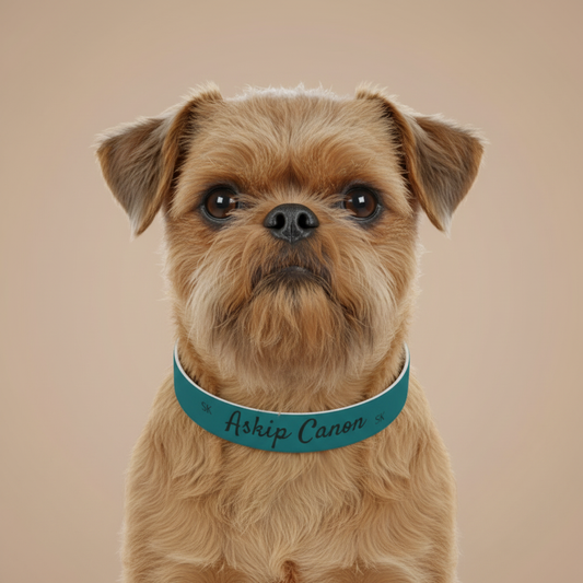 Collier pour  chien -Askip Canon-  Cyan chic Premium Snoukinou