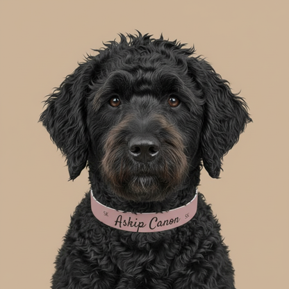 Collier pour  chien -Askip Canon-  Rose poudré  chic Premium Snoukinou