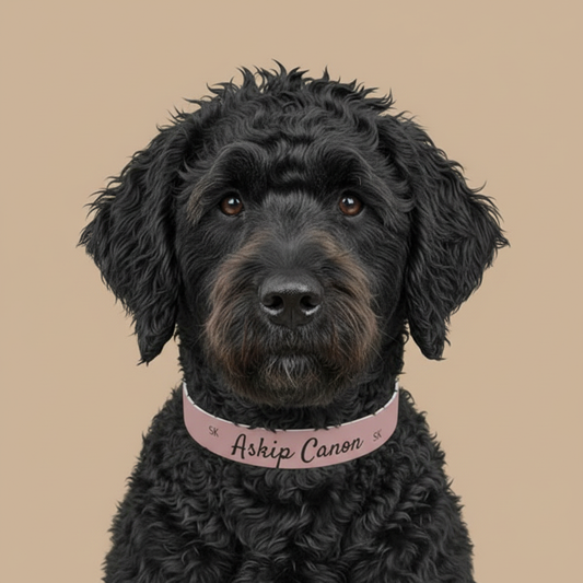 Collier pour  chien -Askip Canon-  Rose poudré  chic Premium Snoukinou