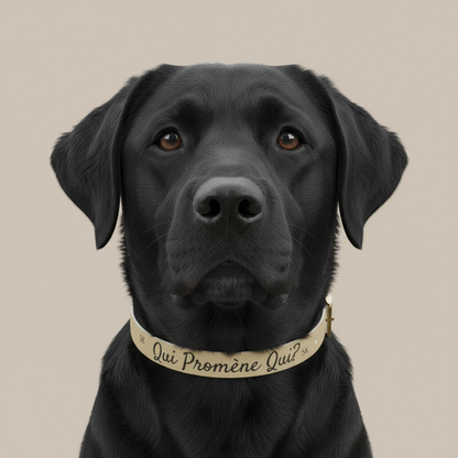 Collier pour chien -Qui promène qui ? -Beige Premium Snoukinou.