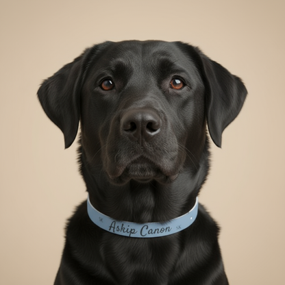 Collier pour chien - Askip Canon  -Bleu Premium Snoukinou