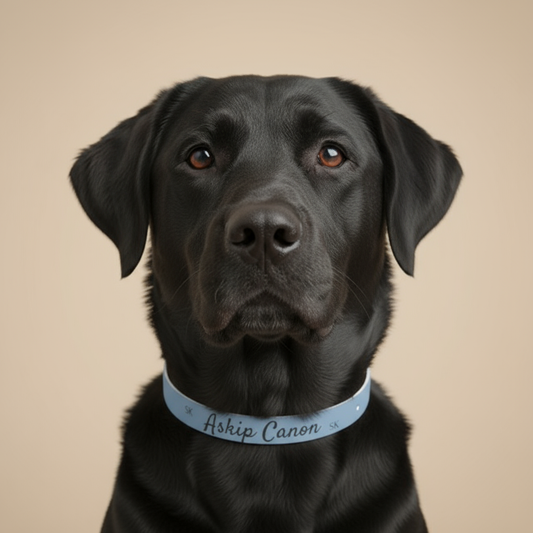 Collier pour chien - Askip Canon  -Bleu Premium Snoukinou