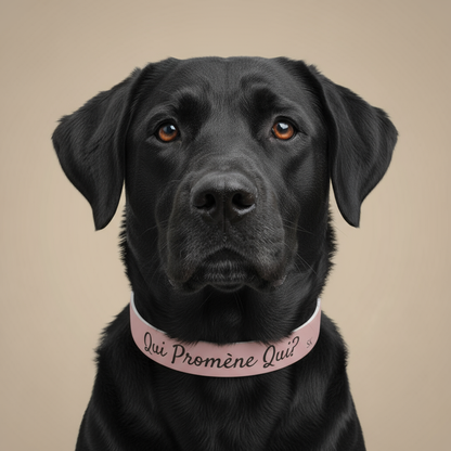 Collier pour chien -Qui promène qui?- Rose poudré  Premium Snoukinou