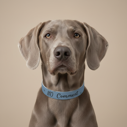 Collier pour  chien- NO Comment-Bleu Premium Snoukinou