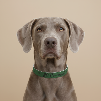 Collier pour  chien- NO Comment-Vert Premium Snoukinou