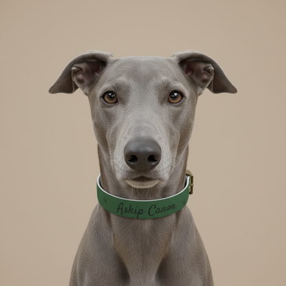 Collier pour chien-  Askip Canon -Vert Premium Snoukinou