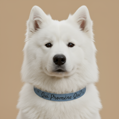 Collier pour chien-Qui promène qui?-Bleu Premium Snoukinou