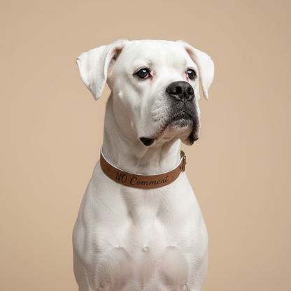 Collier pour  chien- NO Comment - Marron chic Premium Snoukinou