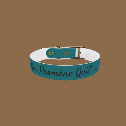 Collier pour chien-Qui promène qui ? -Cyan Premium Snoukinou.