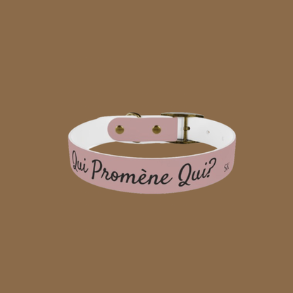 Collier pour chien -Qui promène qui?- Rose poudré  Premium Snoukinou