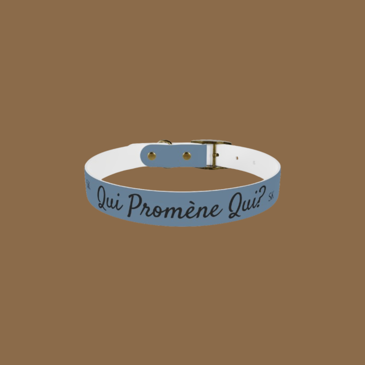 Collier pour chien-Qui promène qui?-Bleu Premium Snoukinou