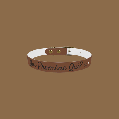 Collier pour chien-Qui promène qui?- Marron chic Premium Snoukinou