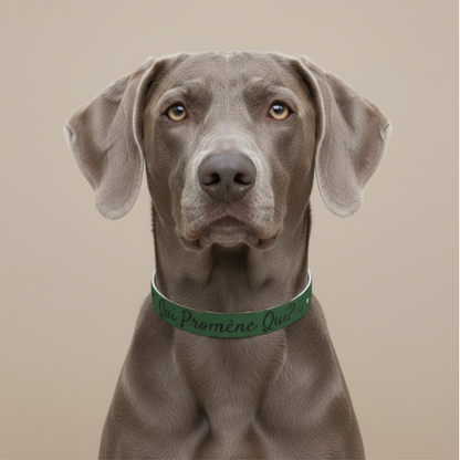 Collier pour chien-Qui promène qui?-Vert Premium Snoukinou
