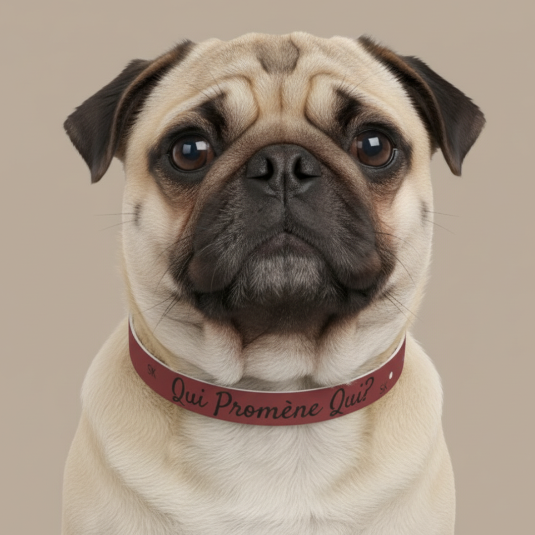 Collier pour chien-Qui promène qui?-Rouge Premium Snoukinou